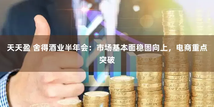 天天盈 舍得酒业半年会：市场基本面稳固向上，电商重点突破