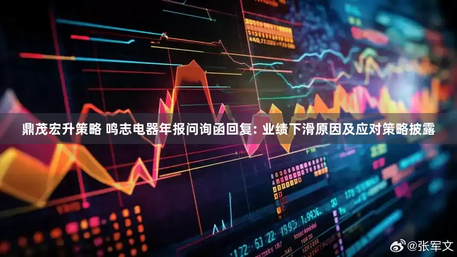 鼎茂宏升策略 鸣志电器年报问询函回复: 业绩下滑原因及应对策略披露